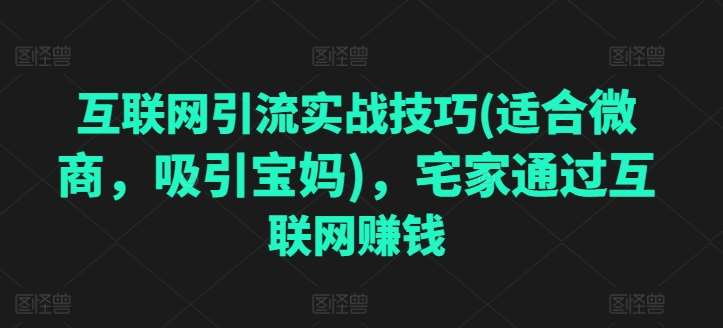 互联网引流实战技巧(适合微商，吸引宝妈)，宅家通过互联网赚钱-赛德副业库