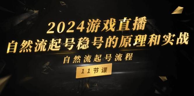（11653期）2024游戏直播-自然流起号稳号的原理和实战，自然流起号流程（11节）-赛德副业库