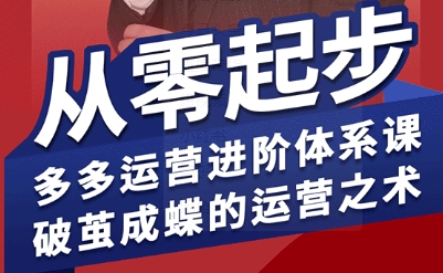 拼多多运营进阶系统课，从零起步，多多运营进阶体系课，破茧成蝶的运营之术-赛德副业库