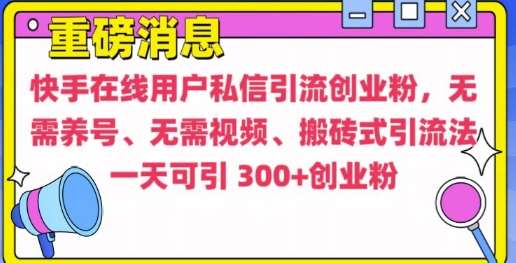 快手最新引流创业粉方法，无需养号、无需视频、搬砖式引流法【揭秘】-赛德副业库