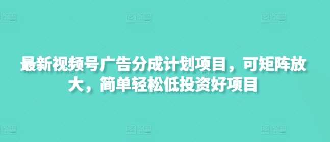 最新视频号广告分成计划项目,可矩阵放大,简单轻松低投资好项目-赛德副业库