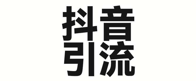 2025年抖音最新暴力引流法，只需一个视频加一段文字，简单操作，单日引300+创业粉-赛德副业库