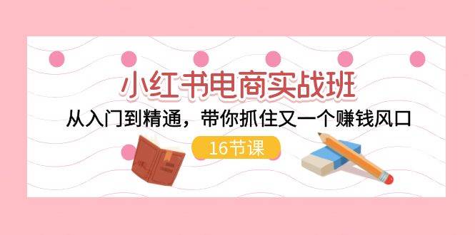 （11533期）小红书电商实战班，从入门到精通，带你抓住又一个赚钱风口（16节）-赛德副业库