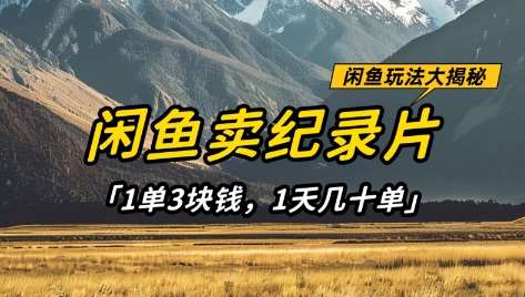 闲鱼卖纪录片1单3块钱,1天几十单,项目稳定有潜力-赛德副业库