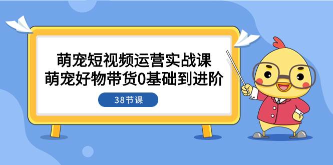 （7915期）萌宠·短视频运营实战课：萌宠好物带货0基础到进阶（38节课）-赛德副业库