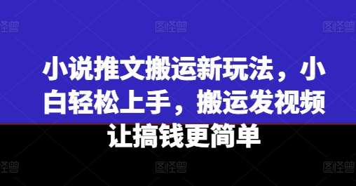 小说推文搬运新玩法，小白轻松上手，搬运发视频让搞钱更简单-赛德副业库