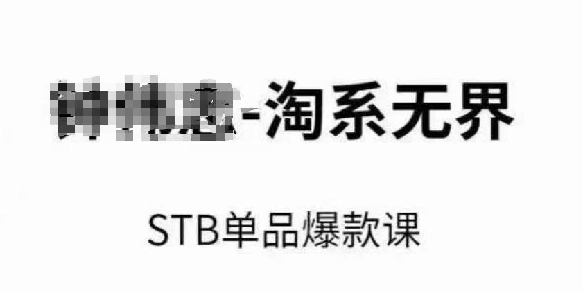 淘系无界STB单品爆款课(2024),付费带动免费的核心逻辑,万相台无界关键词推广/精准人群的核心-赛德副业库