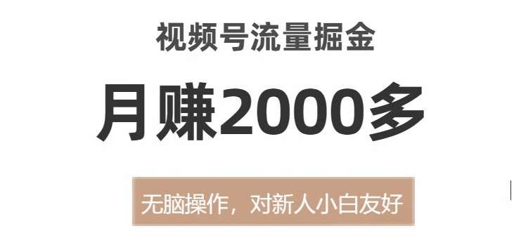 视频号流量掘金，无脑操作，对新人小白友好，月赚2000多【揭秘】-赛德副业库