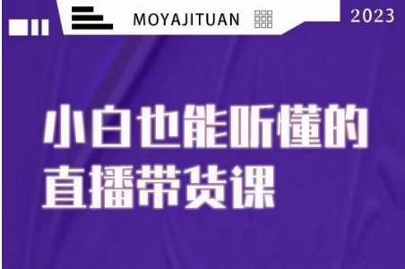 大威本威·能听懂的直播带货课，小白也能听懂，20节完整-赛德副业库