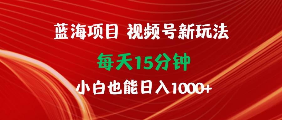 （9813期）蓝海项目视频号新玩法 每天15分钟 小白也能日入1000+-赛德副业库