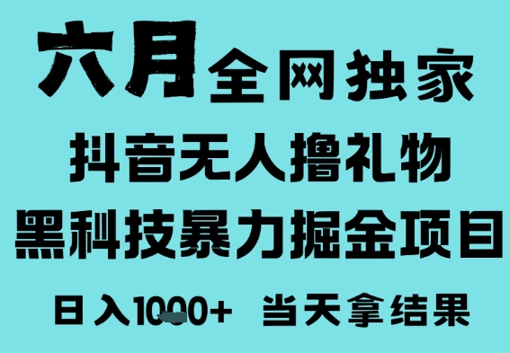 25年6月高爆抖音无人直播最新撸音浪掘金项目，门槛低小白可做，无脑日入1k，可矩阵放大【揭秘】-赛德副业库