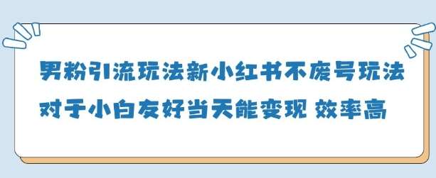 男粉引流玩法(新)，玩法友好做的好当天就能变现-赛德副业库