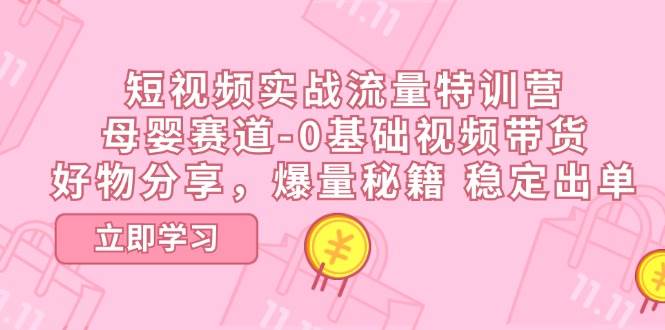 短视频实战流量特训营，母婴赛道-0基础带货，好物分享，爆量秘籍 稳定出单-赛德副业库