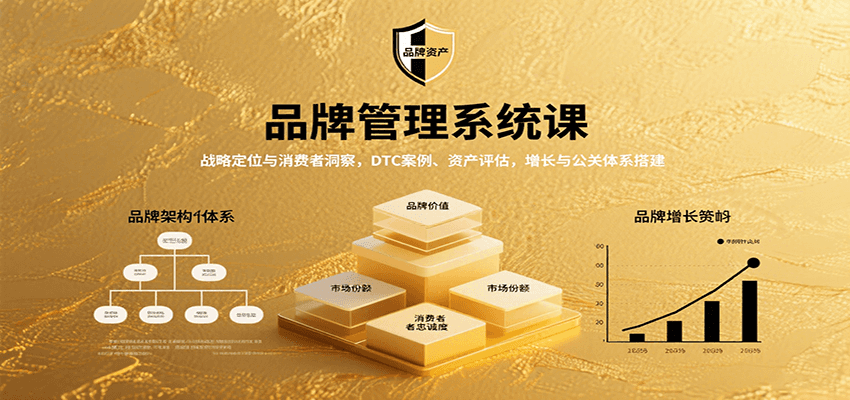 品牌管理系统课:战略定位与消费者洞察,DTC案例、资产评估,增长与公关体系搭建-赛德副业库