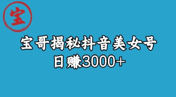 宝哥揭秘抖音美女号玩法，日赚3000+【揭秘】-赛德副业库