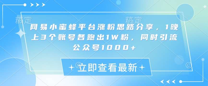 网易小蜜蜂平台涨粉思路分享，1晚上3个账号各跑出1W粉，同时引流公众号1000+-赛德副业库