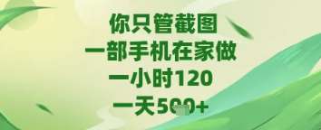 你只管截图，一部手机在家做，苹果安卓都可以，一天5张+【揭秘】-赛德副业库