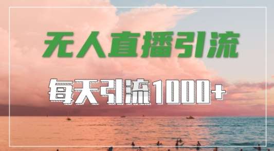 抖音快手视频号全平台通用，无人直播引流法，超暴力引流1000+高质量精准创业粉【揭秘】-赛德副业库