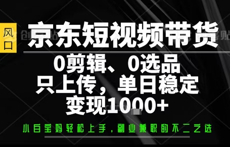 你出账号，我来运营，保底日入1k+，开启躺賺模式【揭秘】-赛德副业库