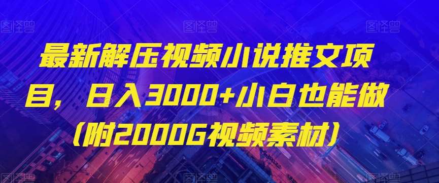 最新解压视频小说推文项目，日入3000+小白也能做（附2000G视频素材）【揭秘】-赛德副业库