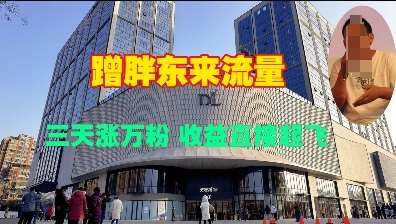 蹭胖东来流量,三天涨万粉,收益直接起飞-赛德副业库
