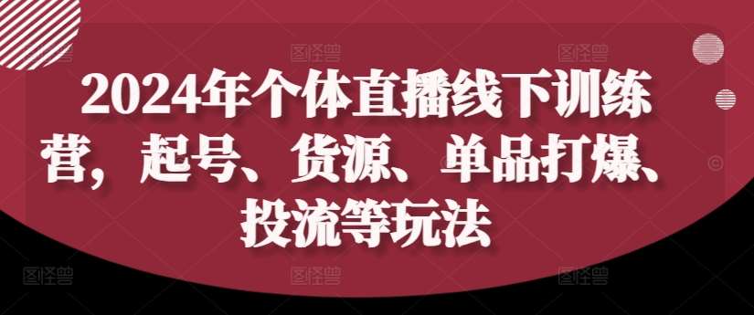 2024年个体直播训练营,起号、货源、单品打爆、投流等玩法-赛德副业库