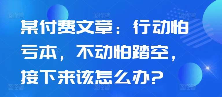 某付费文章：行动怕亏本，不动怕踏空，接下来该怎么办?-赛德副业库
