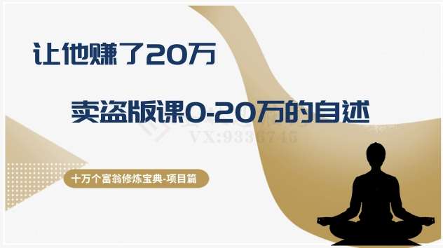 十万个富翁修炼宝典之9.让他赚了20万，卖盗版课0-20万的自述-赛德副业库