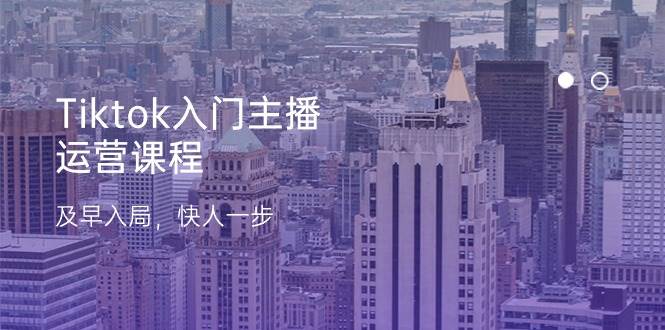 Tiktok入门主播运营课程，及早入局，快人一步（11节）-赛德副业库