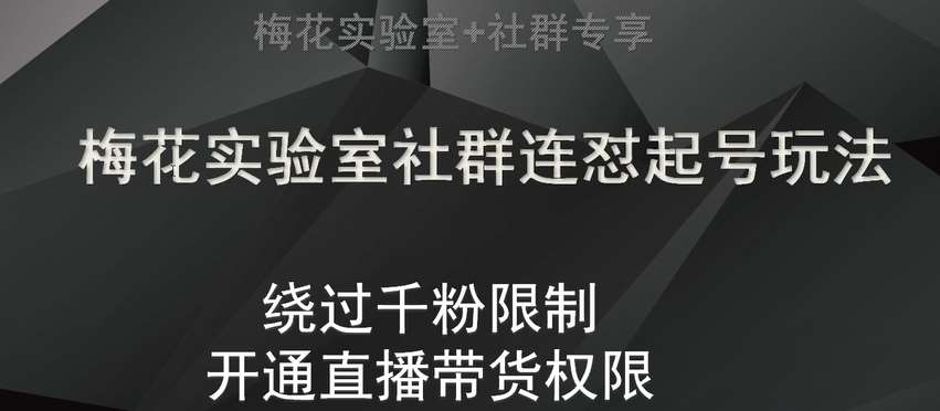 梅花实验室社群连怼起号玩法，视频号绕过千粉限制，开通直播带货权限【揭秘】-赛德副业库