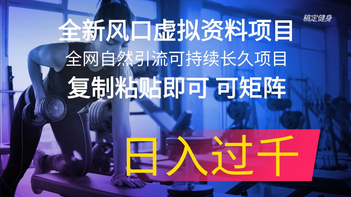 （11587期）全新风口虚拟资料项目 全网自然引流可持续长久项目 复制粘贴即可可矩阵…-赛德副业库