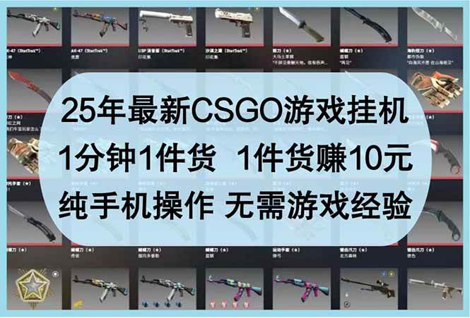 （14439期）25年最新CSGO游戏挂机，1分钟1件货，1件货赚10元 纯手机操作 无需游戏经验-赛德副业库