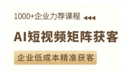 AI短视频矩阵获客实操课，企业低成本精准获客-赛德副业库