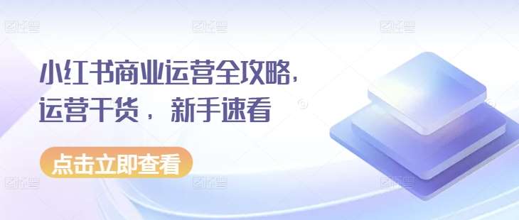 小红书商业运营全攻略，运营干货 ，新手速看-赛德副业库