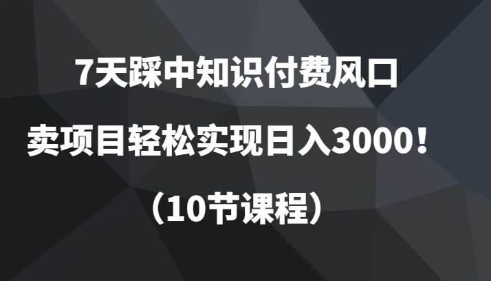 7天踩中知识付费风口，卖项目轻松实现日入3000！（10节课程）-赛德副业库