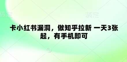 卡小红书漏洞，做知乎拉新 一天3张起，有手机即可-赛德副业库