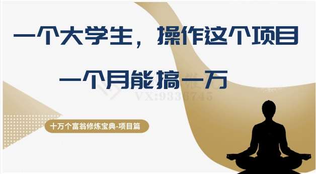 十万个富翁修炼宝典之4.一个大学生操作这个项目,一个月能搞一万-赛德副业库