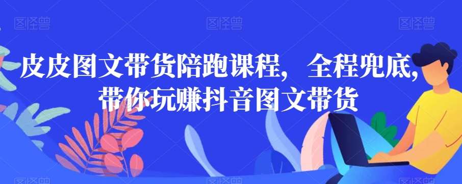 皮皮图文带货陪跑课程，全程兜底，带你玩赚抖音图文带货-赛德副业库