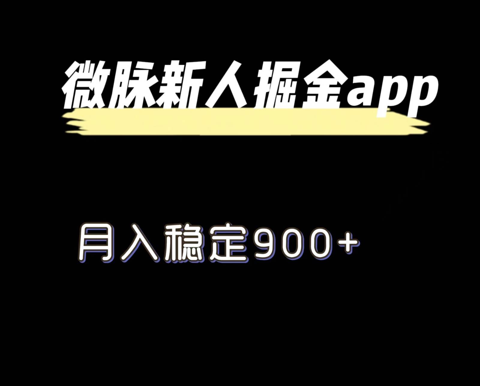 最新微脉长久项目，拉新掘金，月入稳定900+-赛德副业库
