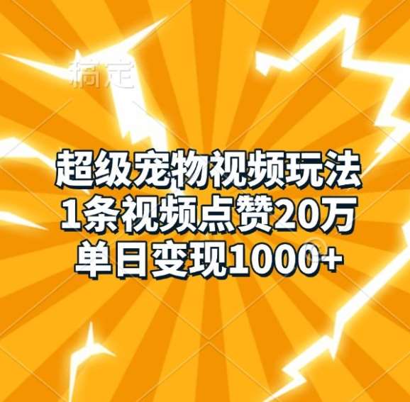 超级宠物视频玩法，1条视频点赞20万，单日变现1k-赛德副业库