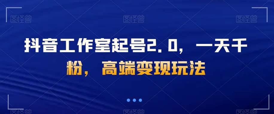 抖音工作室起号2.0，一天千粉，高端变现玩法【揭秘】-赛德副业库