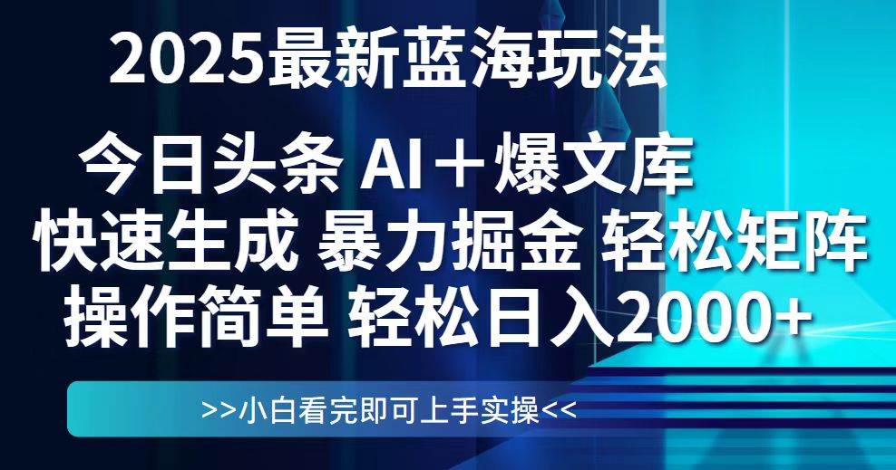 （14805期）今日头条2025最新蓝海玩法，思路简单，复制粘贴，轻松实现矩阵日入2000+-赛德副业库