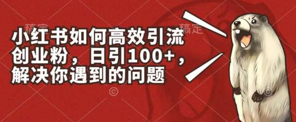 小红书如何高效引流创业粉，日引100+，解决你遇到的问题【揭秘】-赛德副业库
