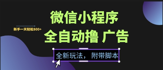 微信小程序全自动撸广告项目，彻底解决没流量的问题，新手一天8张+【揭秘】-赛德副业库
