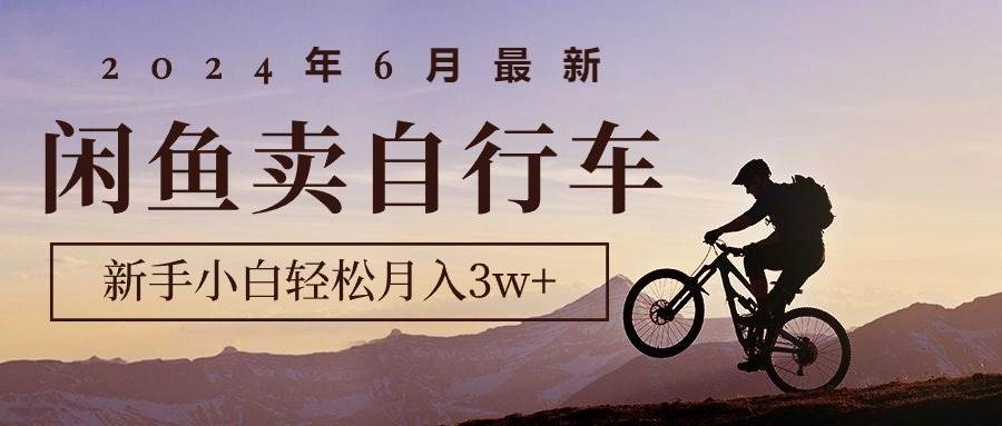 (10915期)2024年6月最新闲鱼卖自行车,新手小白轻松月入3w+项目-赛德副业库