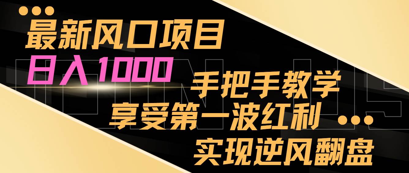 最新风口项目,日入1000,手把手教学,享受第一波红利,实现逆风翻盘-赛德副业库