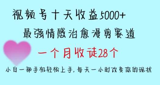 十天收益5000+，多平台捞金，视频号情感治愈漫剪，一个月收徒28个，小白一部手机轻松上手【揭秘】-赛德副业库
