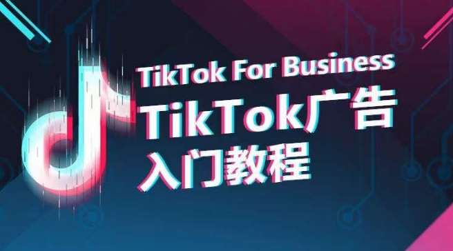 TikTok广告入门教程，从0到1掌握TikTok投放的全流程-赛德副业库