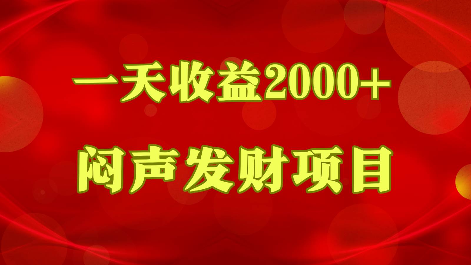 闷声发财,一天收益2000+,到底什么是赚钱,看完你就知道了-赛德副业库