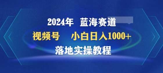 2024年视频号蓝海赛道百家讲坛,小白日入1000+,落地实操教程【揭秘】-赛德副业库